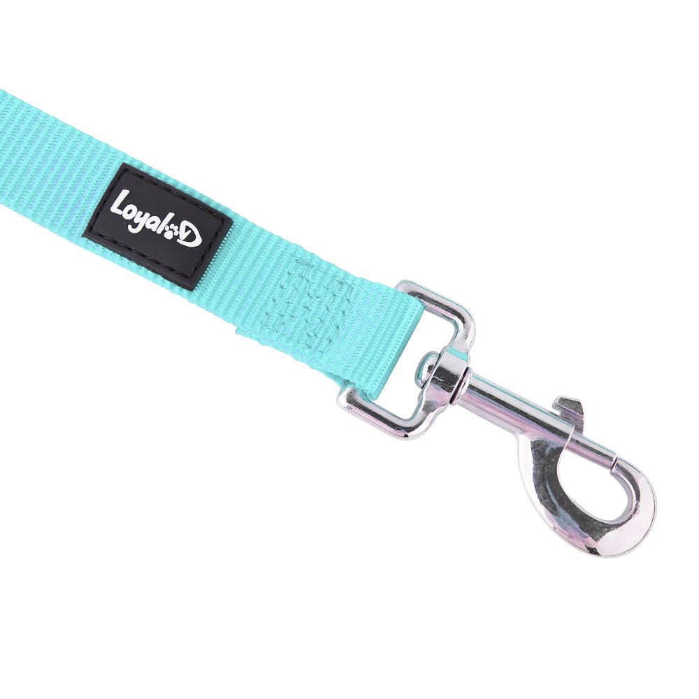 Loyal.D Fix.D Comfort Sky Blue Dog Leash (Neoprene Handle) - Good Dog Peopleā¢