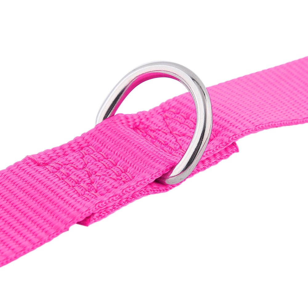 Loyal.D Multi-Purpose.D Hot Pink Dog Leash - Good Dog Peopleā¢