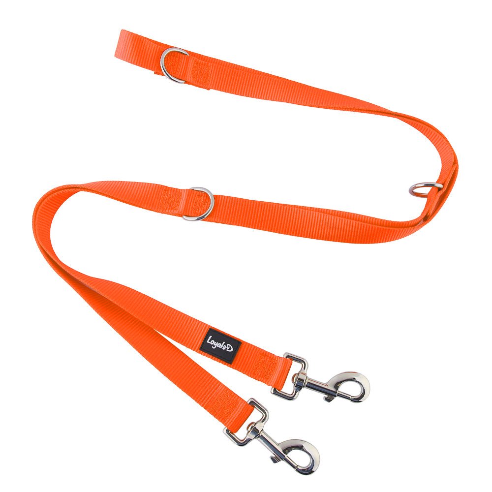 Loyal.D Multi-Purpose.D Orange Dog Leash - Good Dog People™