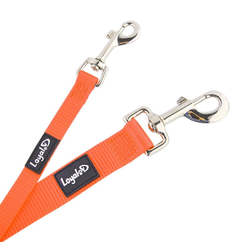 Loyal.D Multi-Purpose.D Orange Dog Leash - Good Dog People™