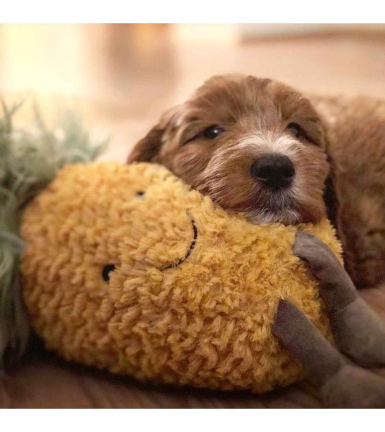 Nandog Pet Gear My BFF Pineapple Squeaker Toy - Good Dog Peopleā¢
