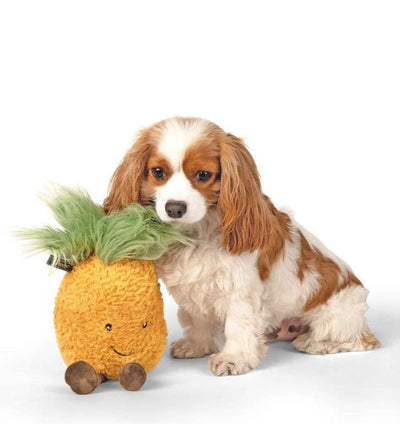 Nandog Pet Gear My BFF Pineapple Squeaker Toy - Good Dog Peopleā¢