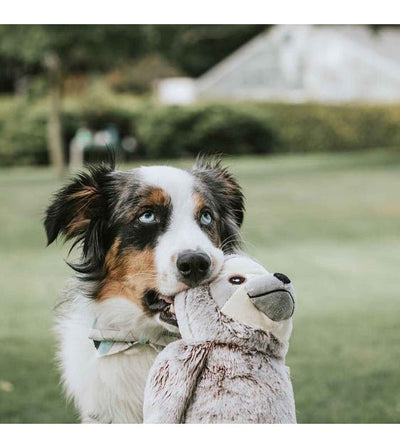 Nandog Pet Gear My BFF Sloth Squeaker Toy - Good Dog People™