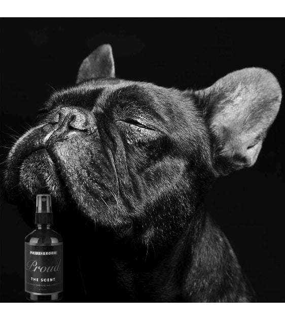 Pride + Groom Proud The Scent All-Natural Dog, Human & Home Spray - Good Dog Peopleā¢