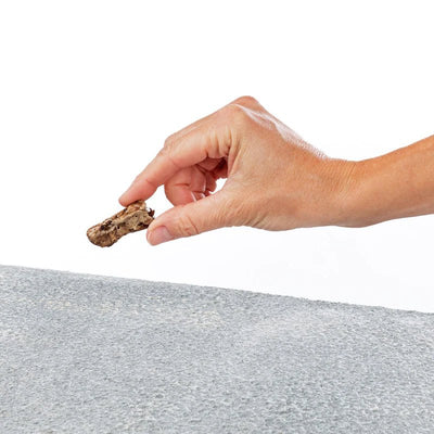 Primal Let's All Get A Lung - Lamb Dehydrated Dog Treats - Good Dog Peopleā¢