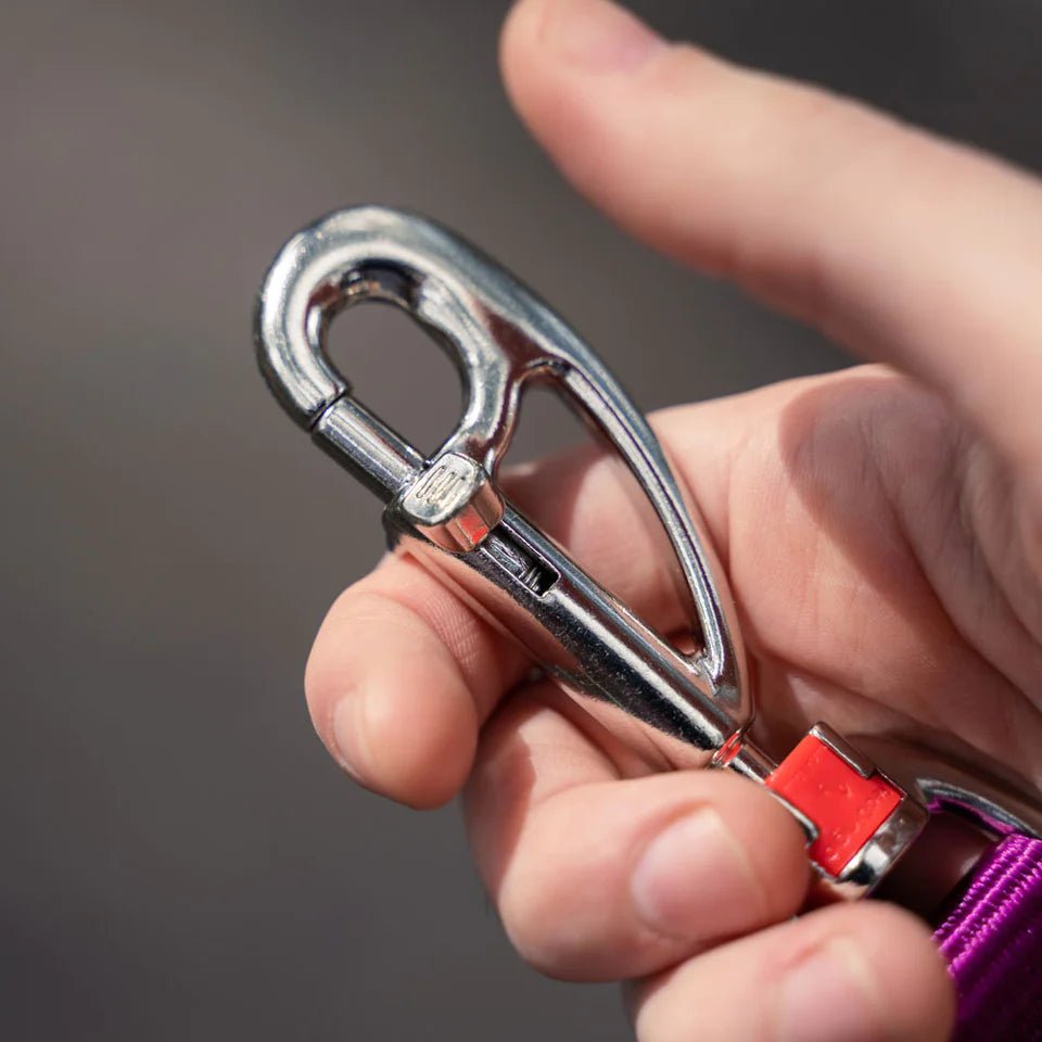 Red Dingo Hands-Free All-In-One SuperLead for Dogs (Navy) - Good Dog People™