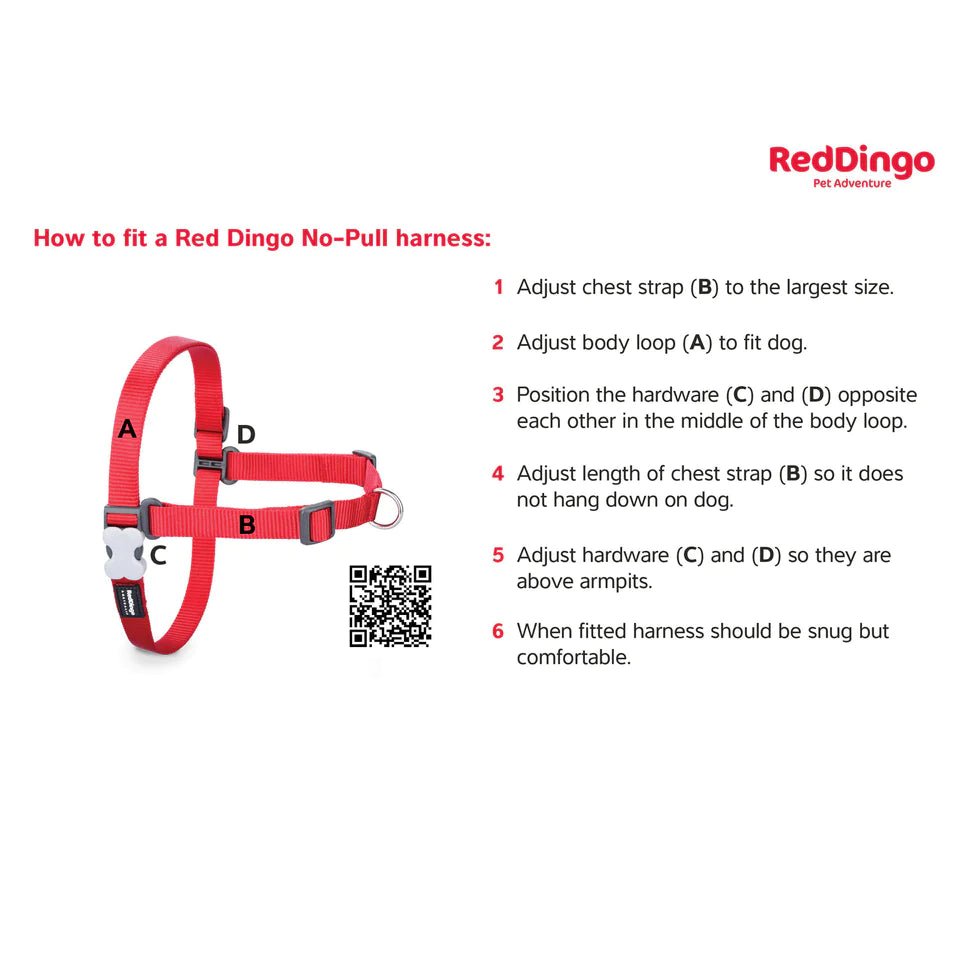 Red Dingo No-Pull Dog Harness (Black) - Good Dog People™