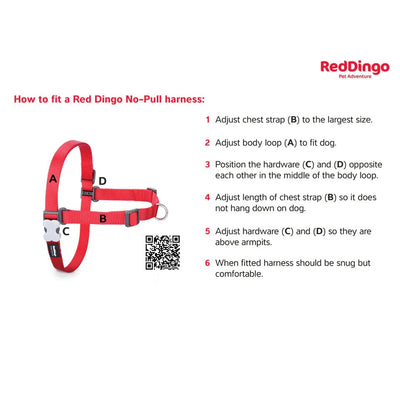 Red Dingo No-Pull Dog Harness (Black) - Good Dog People™