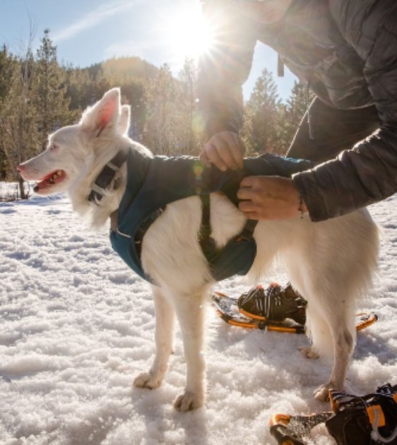 Ruffwear Confluence™ Reflective Waterproof Dog Collar (Midnight Blue) - Good Dog People™