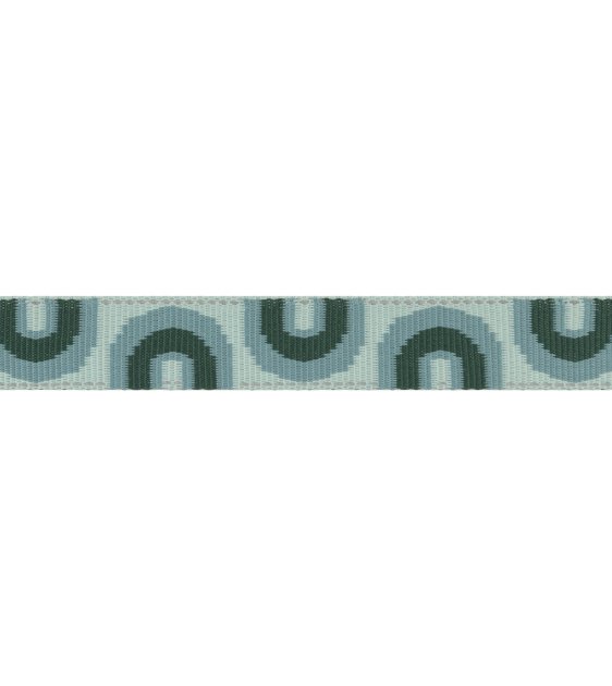 Ruffwear Crag EX™ Reflective & Multi-Use Dog Leash (Grassy Oxbow) - Good Dog People™