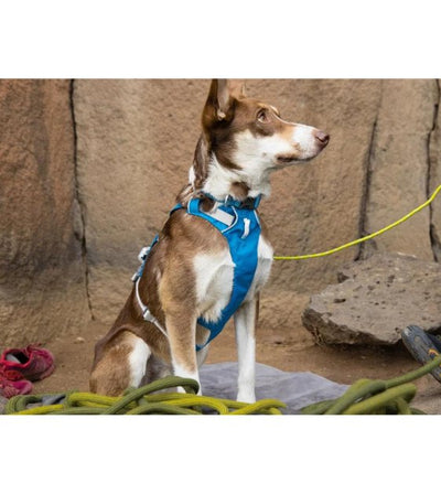 Ruffwear Flagline⢠Lightweight & Multi-Use Dog Harness with Handle (Sage Green) - Good Dog Peopleā¢