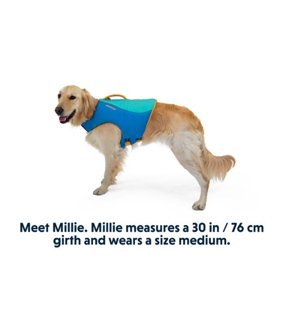 Ruffwear Float Coat⢠Dog Life Jacket (Blue Dusk) - Good Dog Peopleā¢