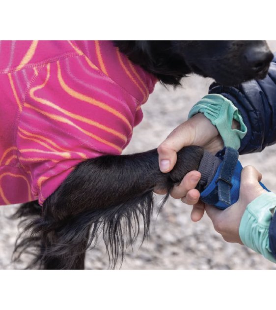 Ruffwear Hi & Light⢠Trail Dog Shoes (Blue Pool) - Good Dog Peopleâ˘