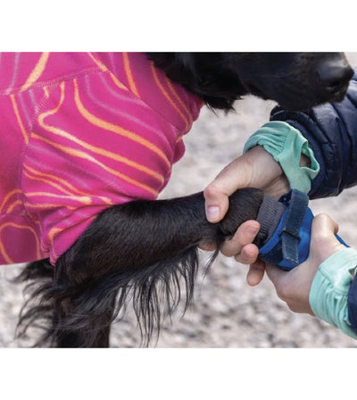 Ruffwear Hi & Light⢠Trail Dog Shoes (Blue Pool) - Good Dog Peopleâ˘