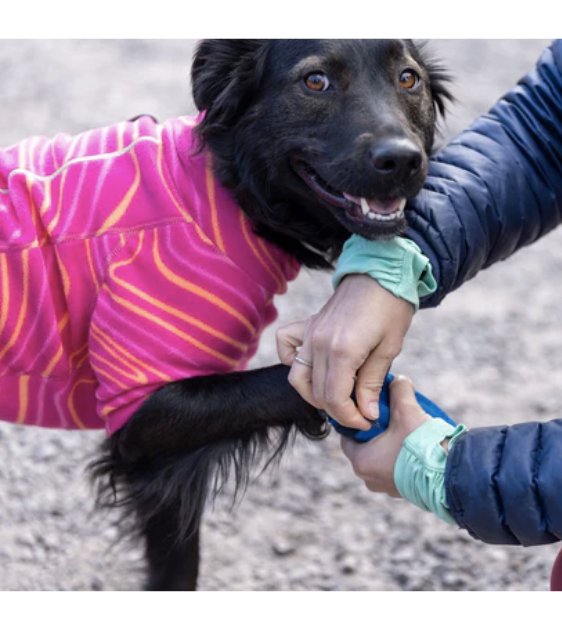 Ruffwear Hi & Light⢠Trail Dog Shoes (Blue Pool) - Good Dog Peopleâ˘