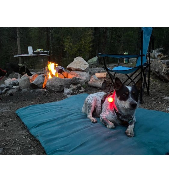 Ruffwear Mt. Bachelor Pad⢠Portable Camping (Tumalo Teal) Dog Bed - Good Dog Peopleā¢