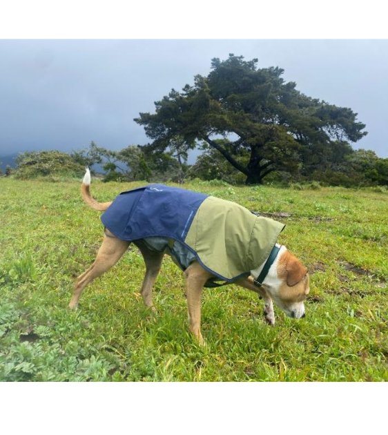 Ruffwear Sun Shower™ Reflective Lightweight Dog Raincoat (Midnight Blue) - Good Dog People™