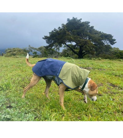 Ruffwear Sun Shower™ Reflective Lightweight Dog Raincoat (Midnight Blue) - Good Dog People™