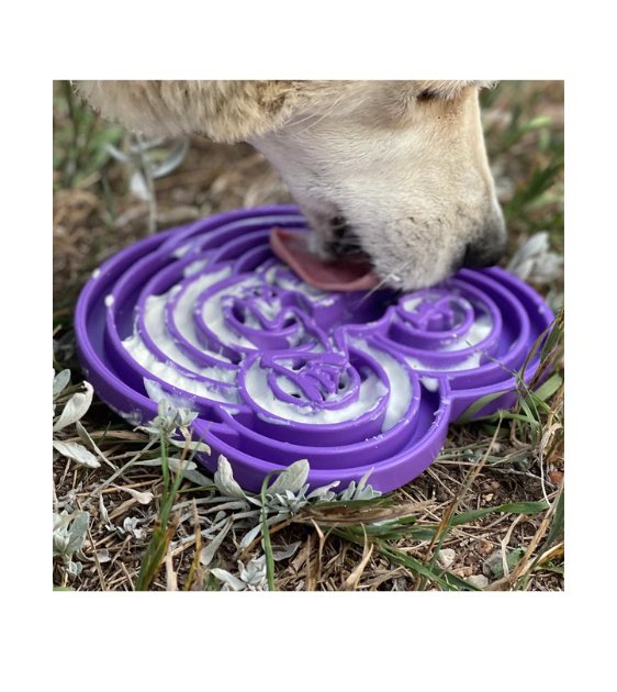 SodaPup Enrichment Feeding Tray For Dogs (Green Water Frog) - Good Dog Peopleā¢