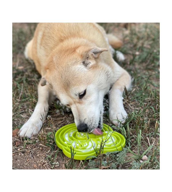 SodaPup Enrichment Feeding Tray For Dogs (Green Water Frog) - Good Dog Peopleā¢