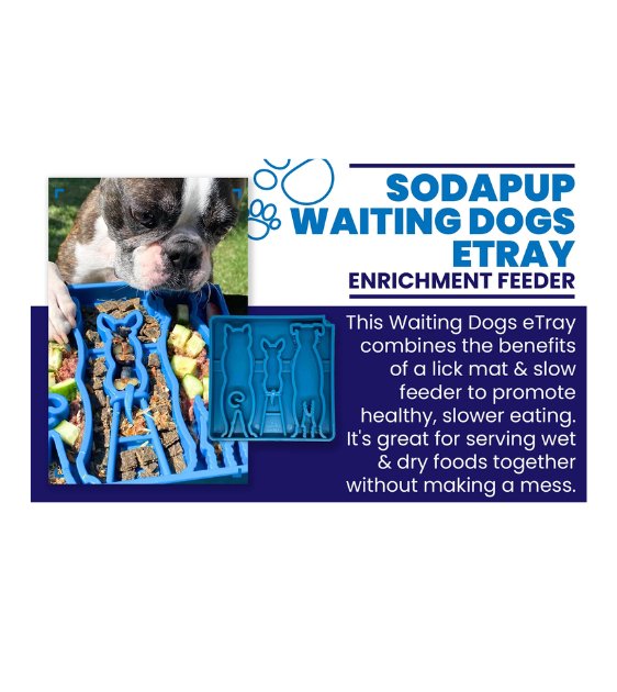 SodaPup Enrichment Feeding Tray For Dogs (Square / Blue Waiting Dogs) - Good Dog Peopleā¢