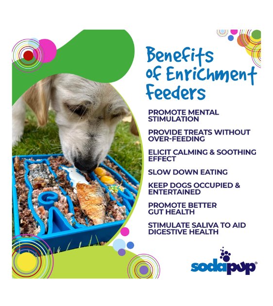 SodaPup Enrichment Feeding Tray For Dogs (Square / Blue Waiting Dogs) - Good Dog Peopleā¢