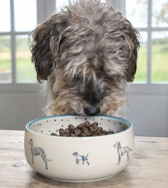 Sophie Allport Fetch Stoneware Dog Bowl - Good Dog Peopleā¢