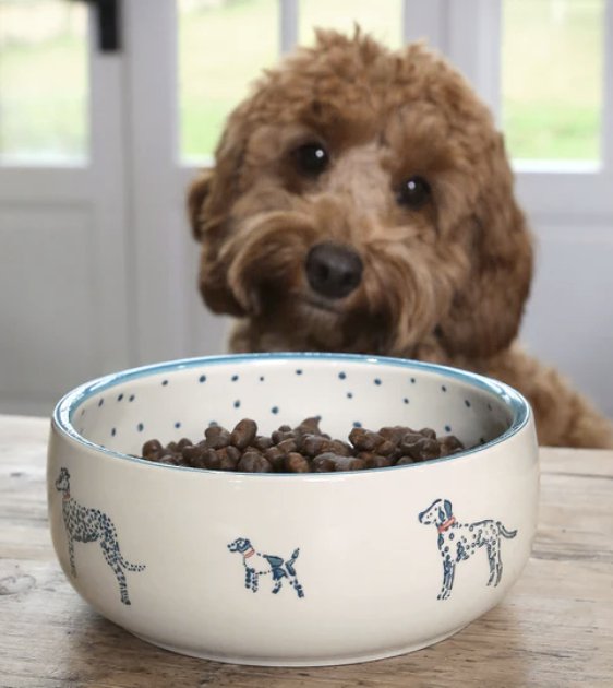 Sophie Allport Fetch Stoneware Dog Bowl - Good Dog Peopleā¢