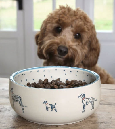 Sophie Allport Fetch Stoneware Dog Bowl - Good Dog Peopleā¢