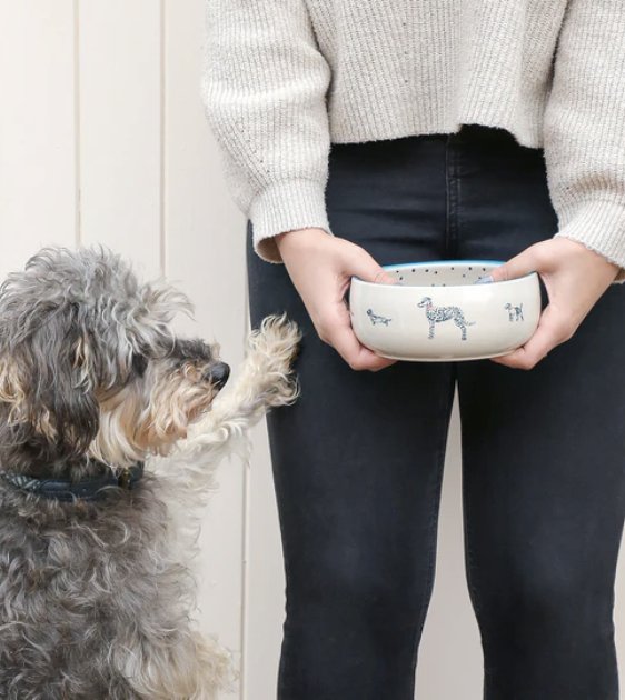 Sophie Allport Fetch Stoneware Dog Bowl - Good Dog Peopleā¢