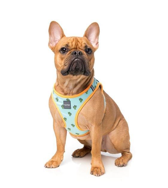 FuzzYard Tucson Step-in Dog Harness