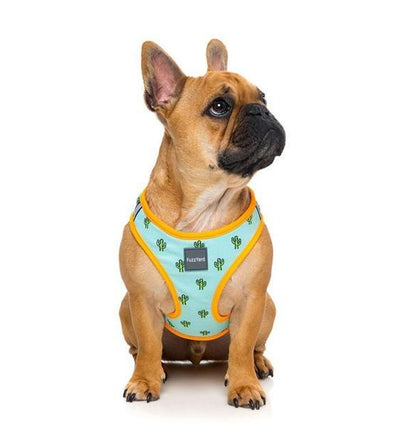 FuzzYard Tucson Step-in Dog Harness