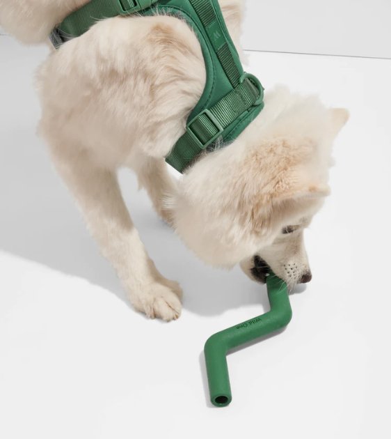 Wild One Bolt Bite Dog Chew Toy (Spruce) - Good Dog People™