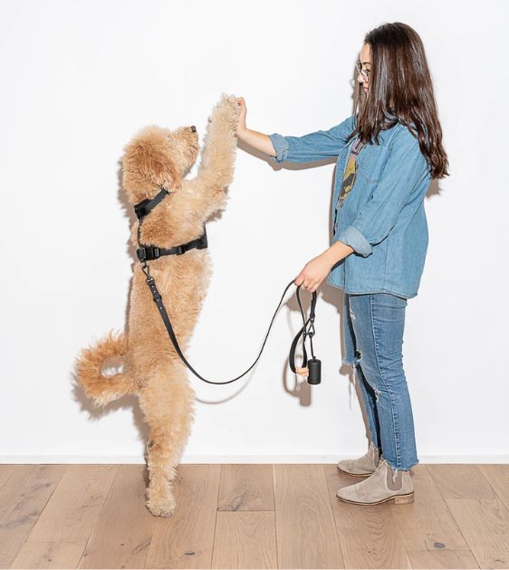 Wild One Poop Bag Carrier and Roll (Black) - Good Dog Peopleā¢