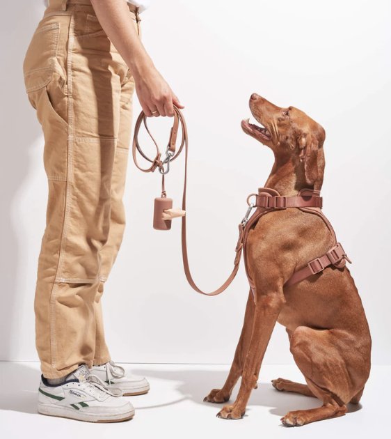 Wild One Poop Bag Carrier and Roll (Cocoa) - Good Dog Peopleā¢