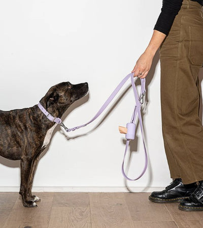 Wild One Poop Bag Carrier and Roll (Lilac) - Good Dog Peopleā¢