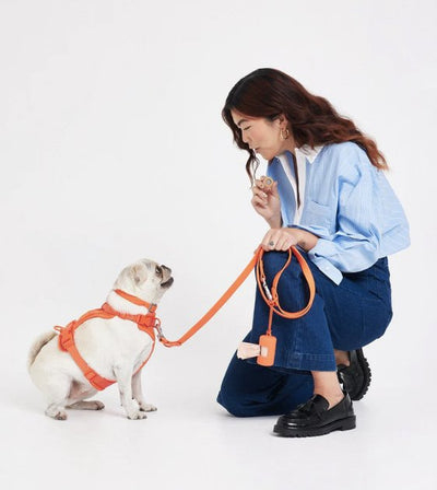 Wild One Poop Bag Carrier and Roll (Limited Edition - Blaze) - Good Dog People™