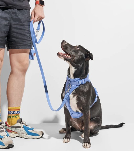 Wild One Poop Bag Carrier and Roll (Moonstone) - Good Dog Peopleā¢