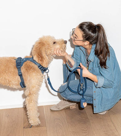 Wild One Poop Bag Carrier and Roll (Navy) - Good Dog Peopleā¢