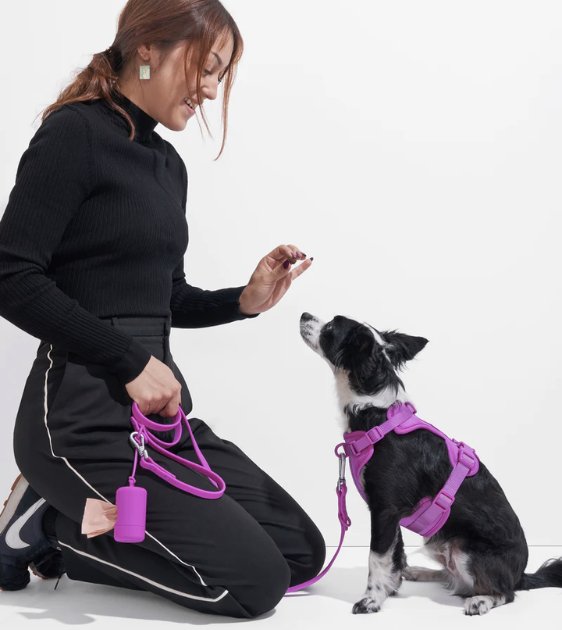 Wild One Poop Bag Carrier and Roll (Orchid) - Good Dog Peopleā¢