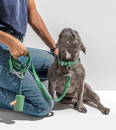 Wild One Poop Bag Carrier and Roll (Spruce) - Good Dog Peopleā¢
