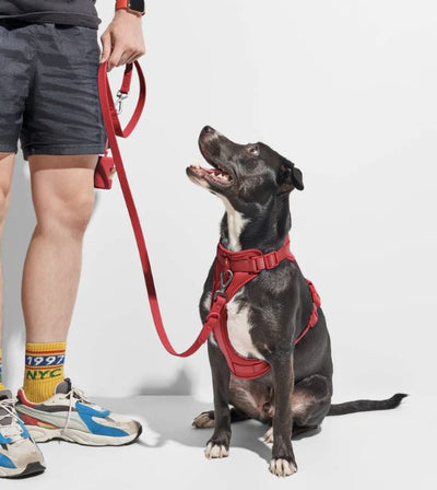 Wild One Poop Bag Carrier and Roll (Strawberry) - Good Dog Peopleā¢