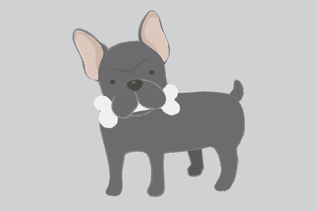 Bones for Dogs: How Safe Are They? - Good Dog People™