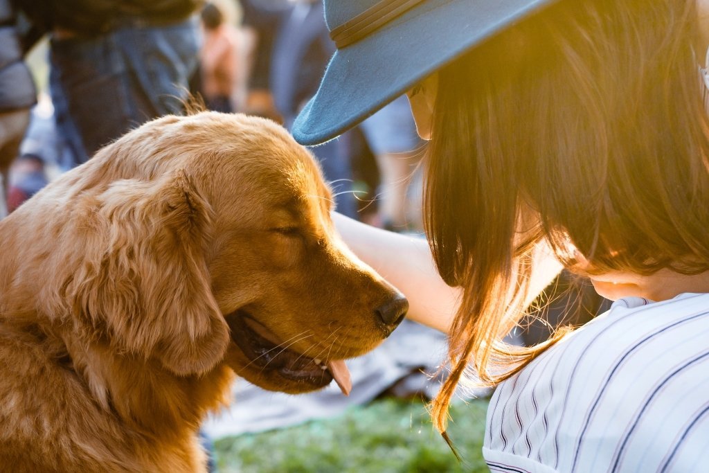 Top 3 Tips For Building Trust With Your Dog - Good Dog People™