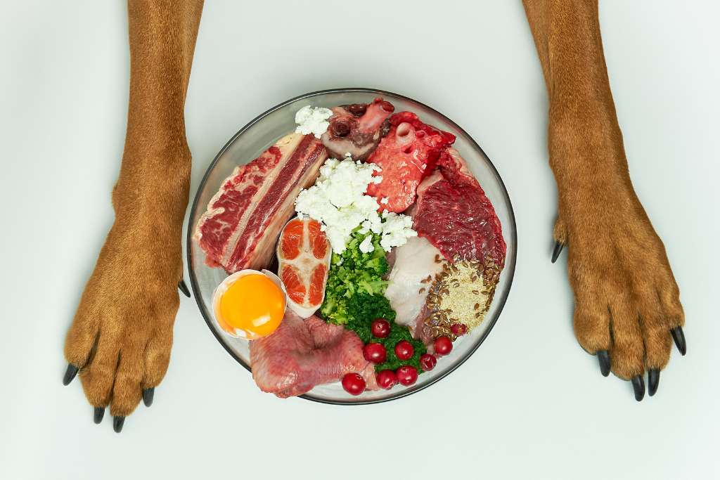 AAFCO Approved Dog Food & AAFCO Nutrient Profiles Explained