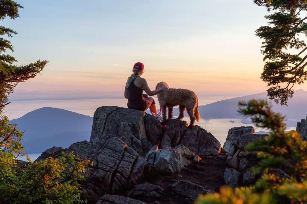 Always Dogs, People, and Planet First: Our Promise to You