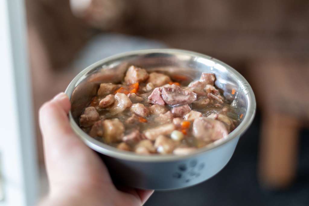Benefits of soaking dry dog food top