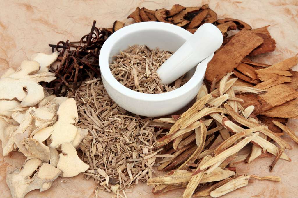 Chinese Herbs for Senior Dogs