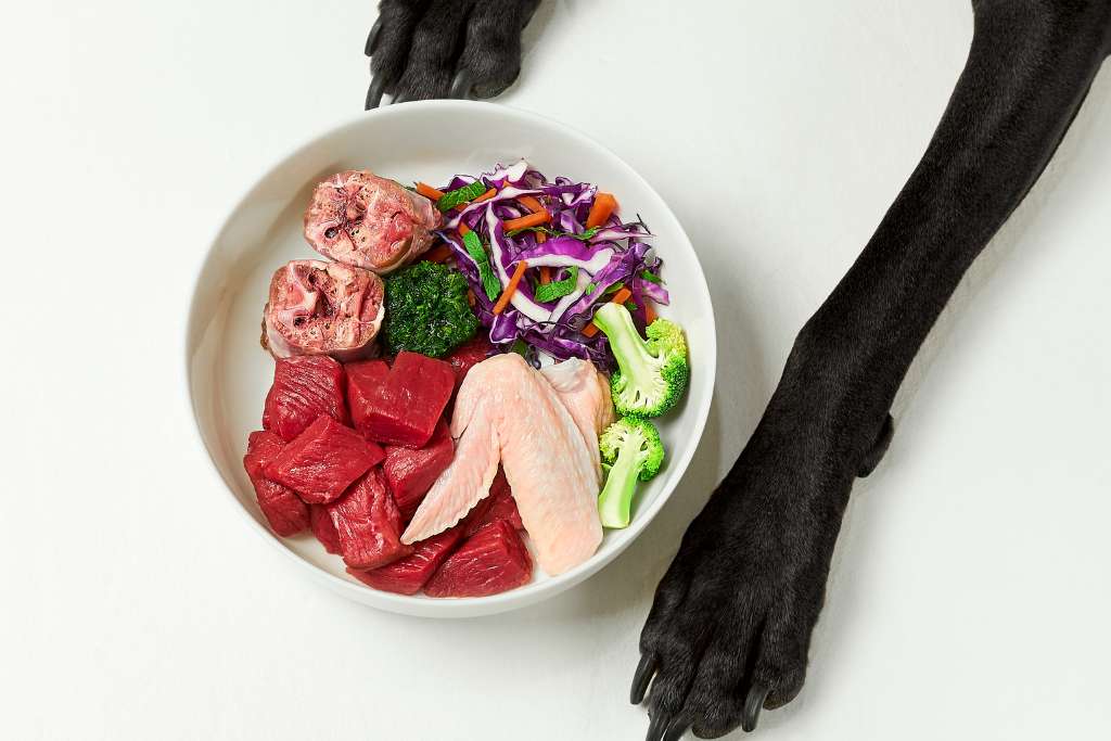 Top 10 Cancer-Fighting Foods for Dogs