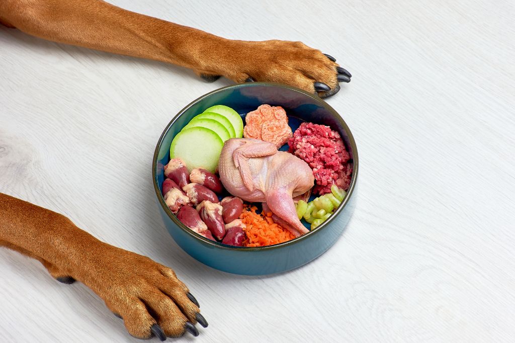 Can Dogs Eat Raw Meat?